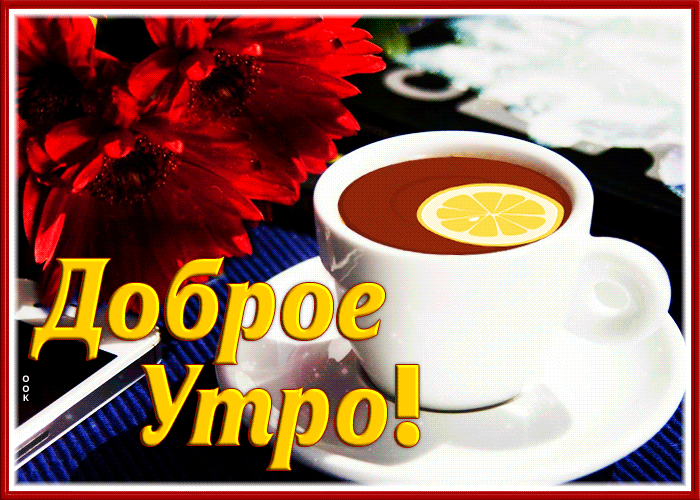 Postcard шикарная открытка доброе утро с красными цветами