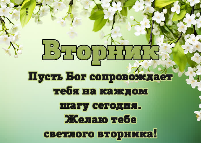 Picture симпатичная открытка со светлым вторником