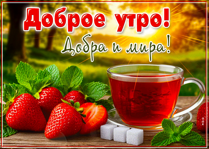Postcard сияющая гиф-открытка, доброе утро, мира и добра
