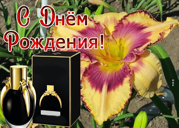 Picture сияющая гиф-открытка, с днем рождения дорогого мужчину