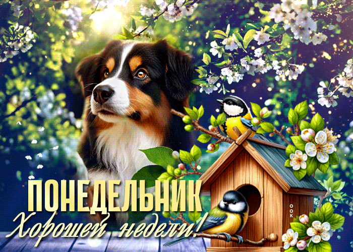 Picture сияющая гиф-открытка, с понедельником и хорошей недели