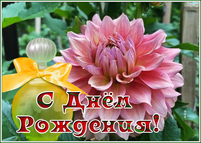 Picture славная картинка с днем рождения женщине с хризантемой