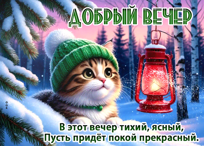 Picture снежная радостная гифка добрый вечер