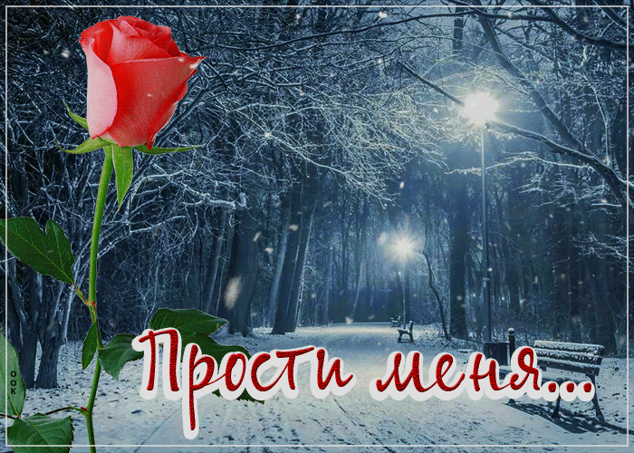 Picture снежная волнующая гиф-открытка прости меня