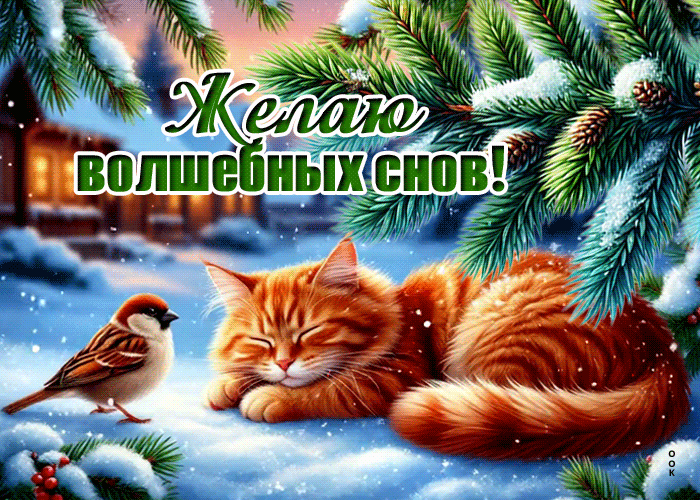 Picture снежная яркая гифка желаю волшебных снов