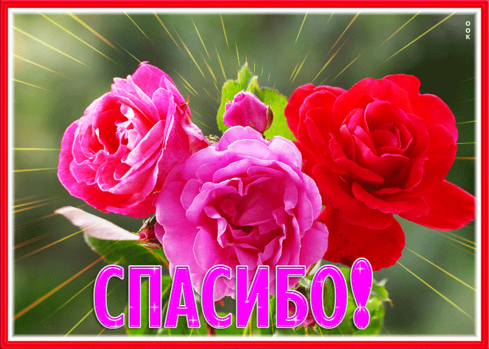 Picture сочная открытка спасибо с розами