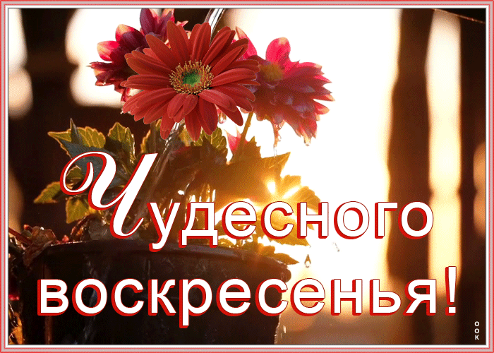 Картинка солнечная открытка с воскресеньем