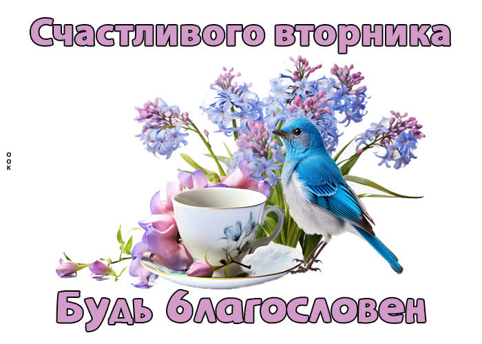 Picture солнечная открытка, вторник будь благословен