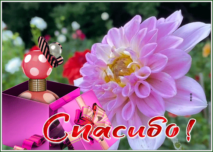Picture спасибо большое