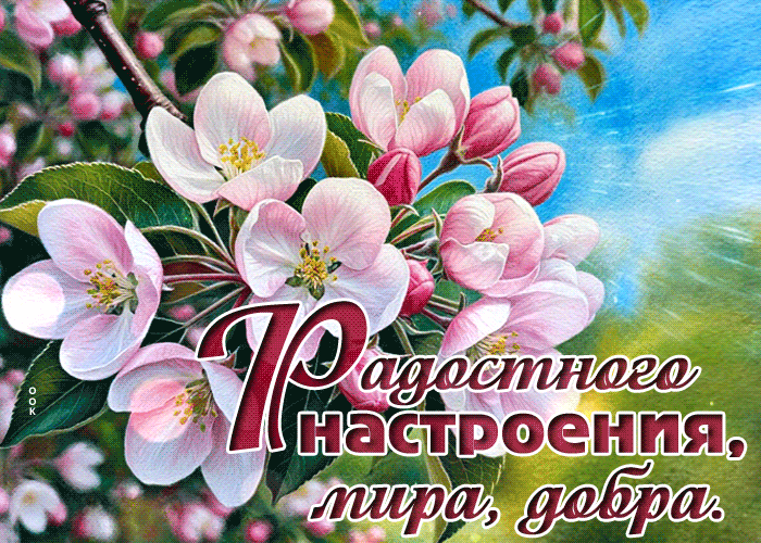 Postcard спокойная гиф-открытка, радостного настроения, мира и добра