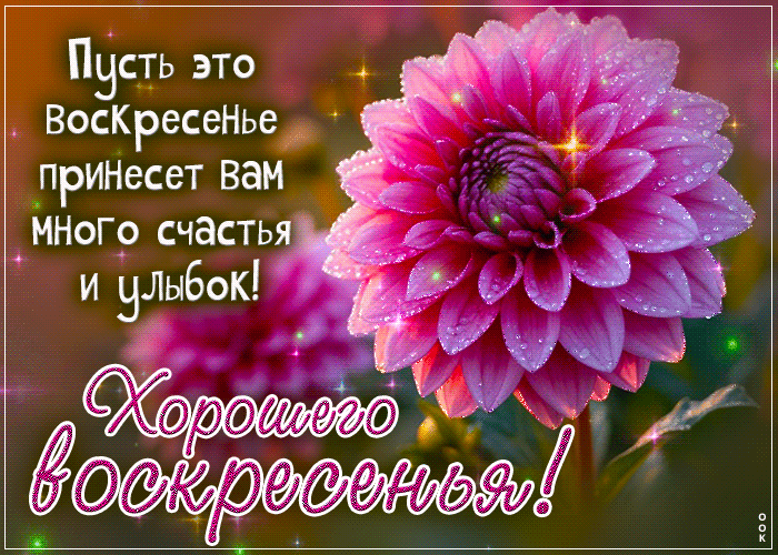 Picture спокойная гиф-открытка, хорошего воскресенья
