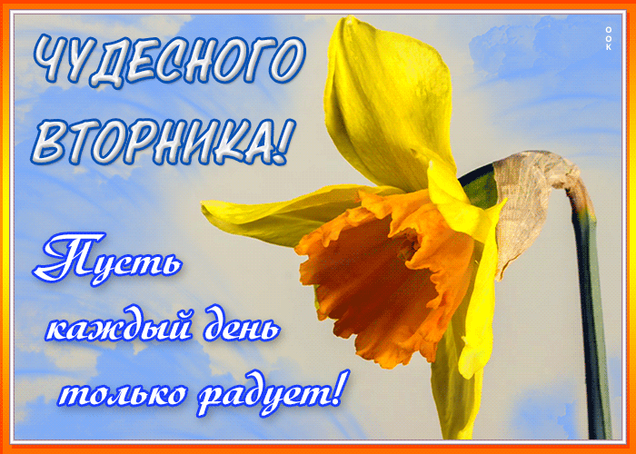 Открытка светлая открытка с вторником