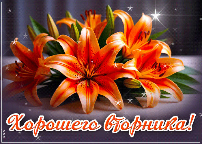 Picture светлая открытка, вторник с теплом и гармонией
