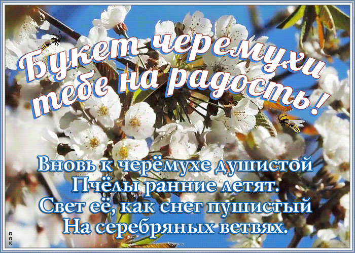 Открытка свежая открытка красивой женщине с цветами