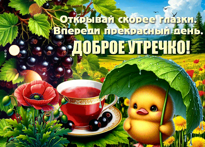 Picture талантливая гиф-открытка, доброе утро, открывай скорее глазки
