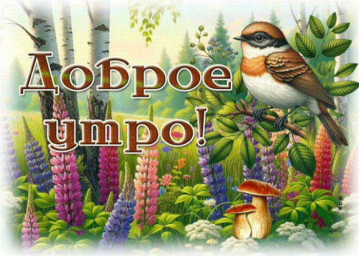 Picture торжественная гиф-открытка, пусть утро подарит радость