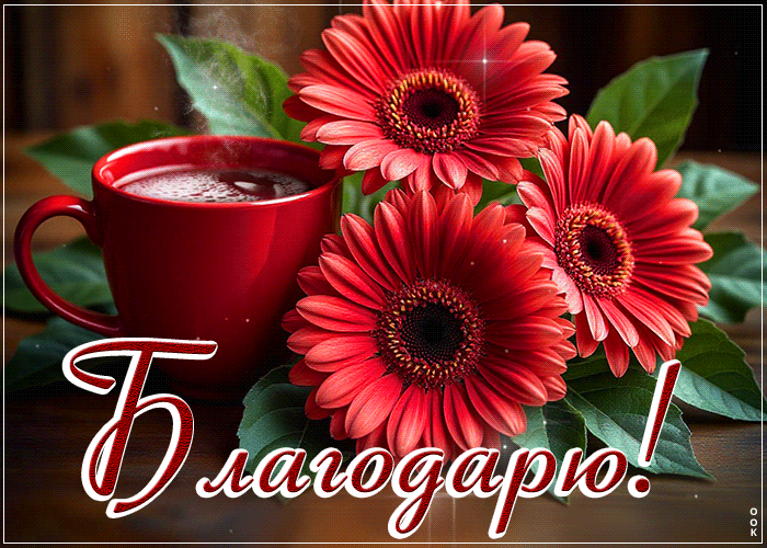Postcard трепетная гиф-открытка, благодарю за все