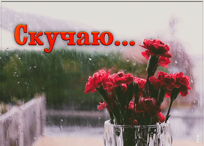 Открытка трогательная анимация скучаю
