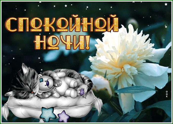 Postcard трогательная картинка спокойной ночи с котенком