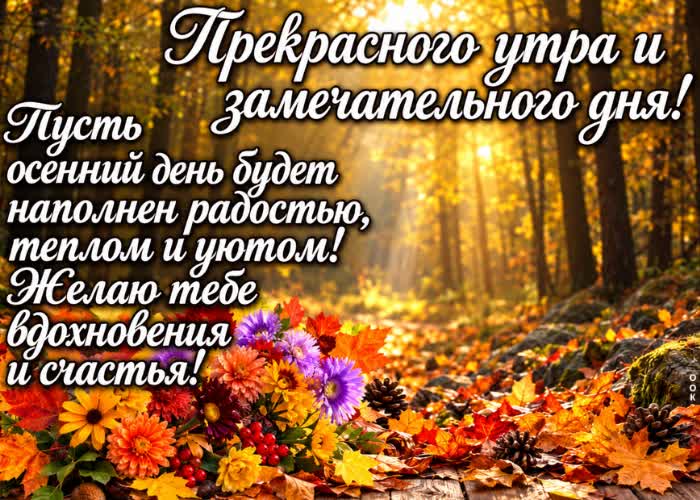 Postcard ты умеешь делать даже обычное утро по-настоящему тёплым