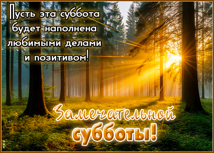 Postcard тёплая гиф-открытка, позитивной субботы