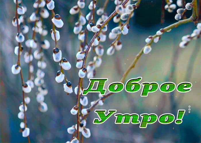 Postcard удивительная гиф-открытка, с добрым утром тебя, добра тебе