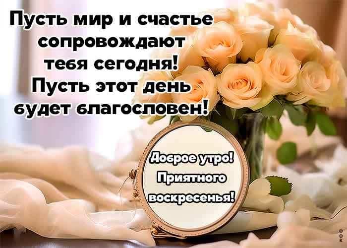 Postcard удивительная открытка, пусть мир и счастье сопровождают в это воскресенье