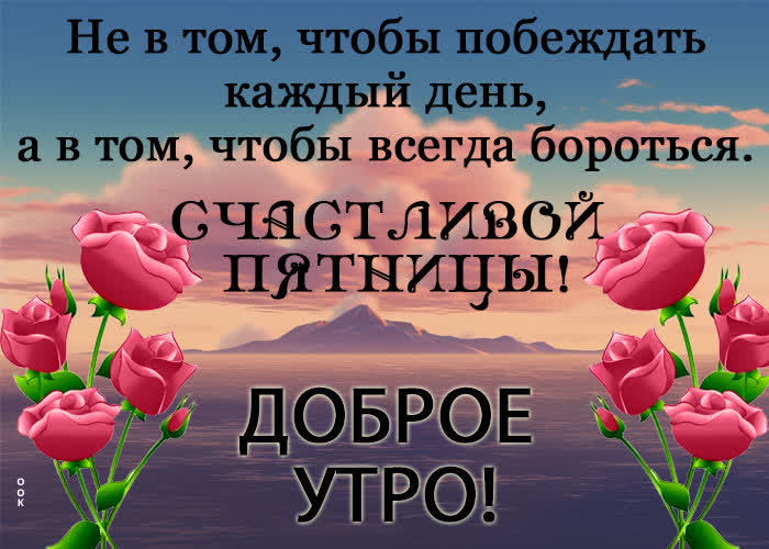 Picture уникальная открытка борись за свое счатье в эту пятницу