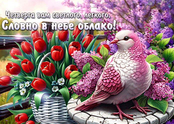 Postcard утончённая гиф-открытка, четверга вам светлого