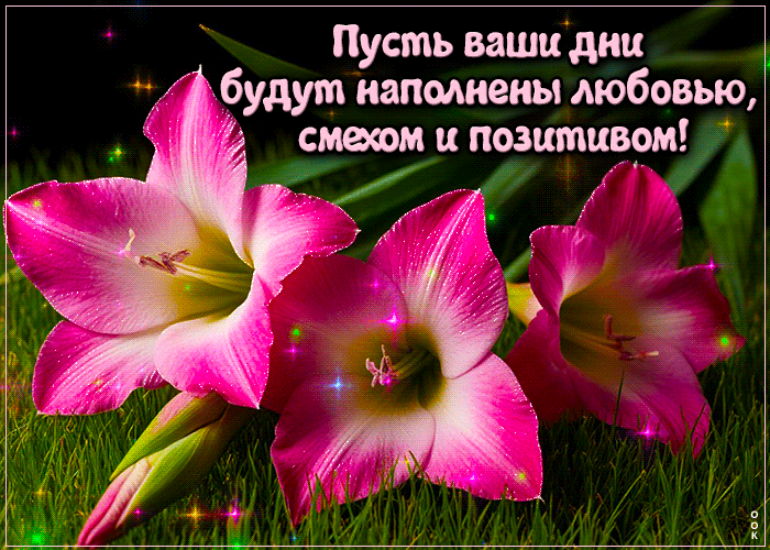 Postcard уютная гиф-открытка, пусть дни будут наполнены любовью