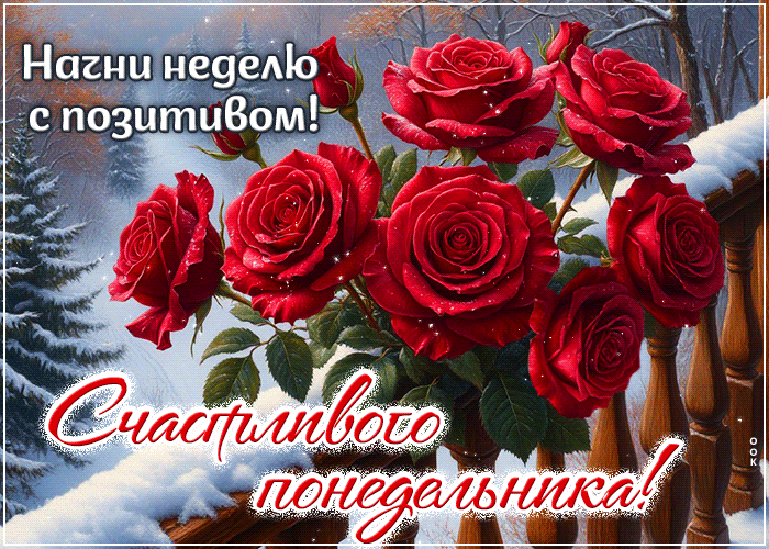 Picture уютная картинка, гармоничного понедельника!