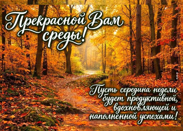 Postcard в вас есть особенный свет, который согревает всё вокруг.