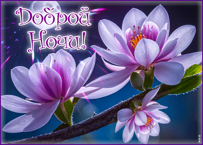 Postcard вдохновляющая гиф-открытка, доброй и уютной ночи