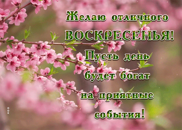 Postcard вдохновляющая гиф-открытка, отличного воскресенья