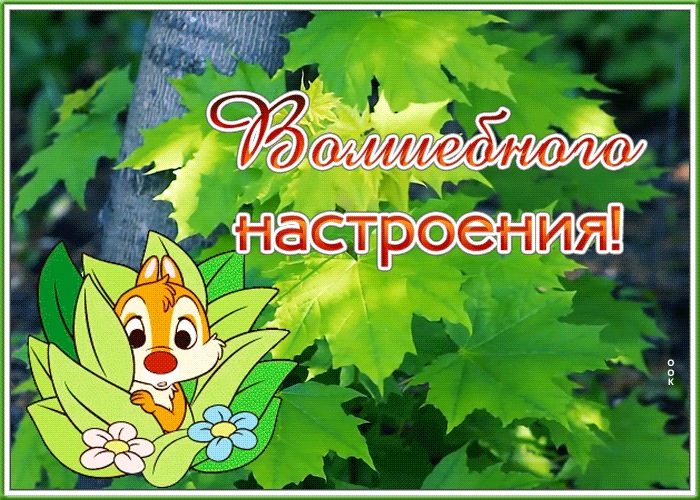 Открытка великолепная открытка волшебного настроения