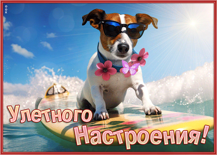 Postcard веселая открытка для улетного настроения