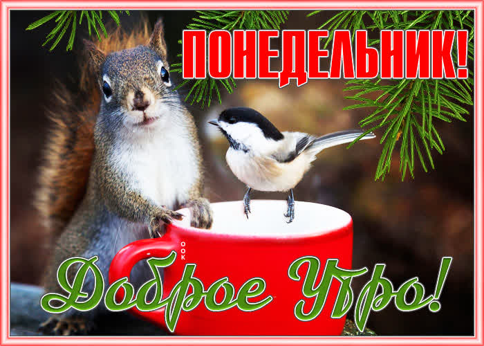 Открытка весенняя открытка с понедельником