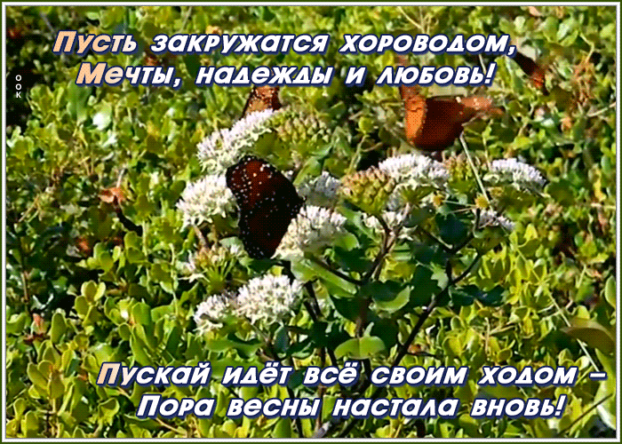 Открытка весенняя открытка с пожеланиями