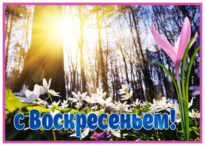 Postcard весенняя открытка воскресенье, с лучами солнца