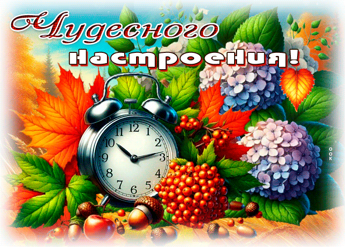Picture весёлая гиф-открытка, чудесного настроения
