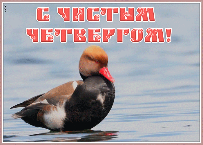 Открытка видео открытка с чистым четвергом