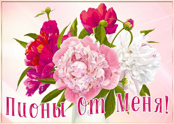 Открытка виртуальная открытка с пионами