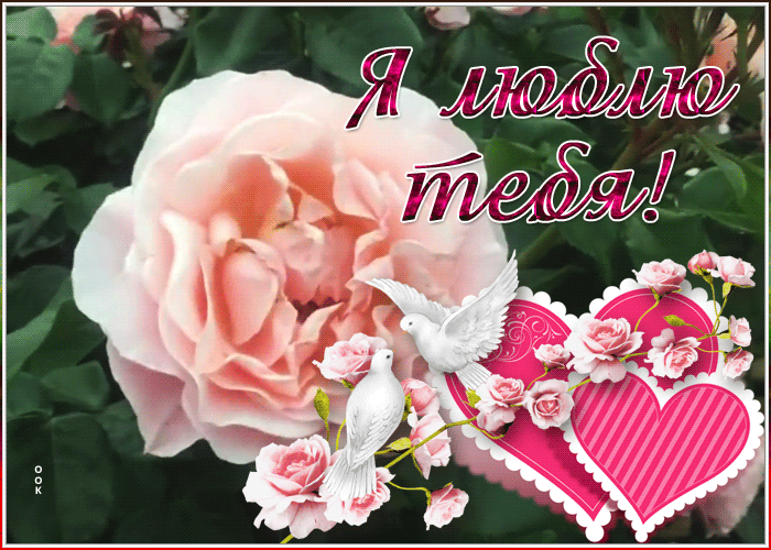 Открытка виртуальная открытка я тебя люблю