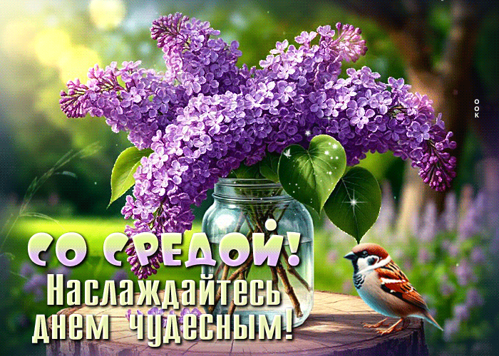 Picture волшебная гиф-открытка, желает насладится средой