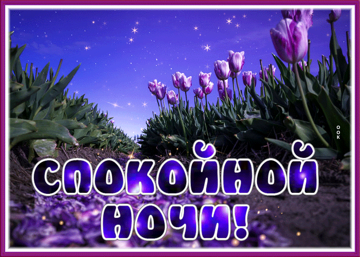 Postcard волшебная картинка спокойной ночи с тюльпанами