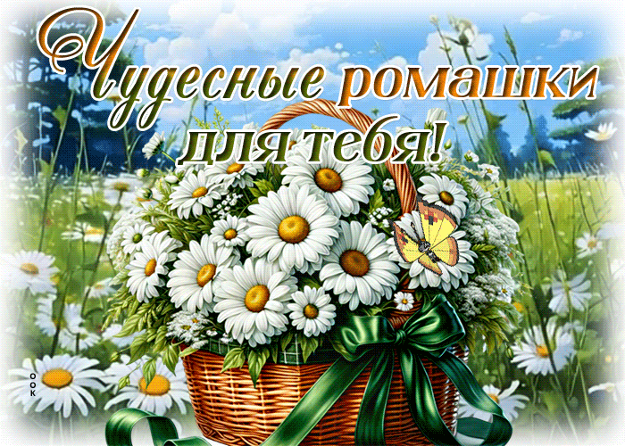 Picture взаимопонимающая гиф-открытка, чудесные ромашки для тебя