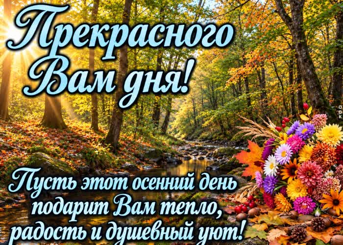 Postcard хорошего дня, радости и душевного уюта!