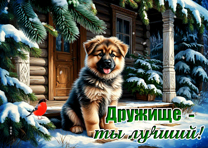 Postcard яркая открытка, другу для хорошего настроения!