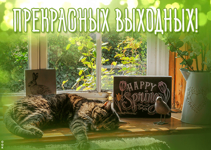Открытка яркая открытка прекрасных выходных