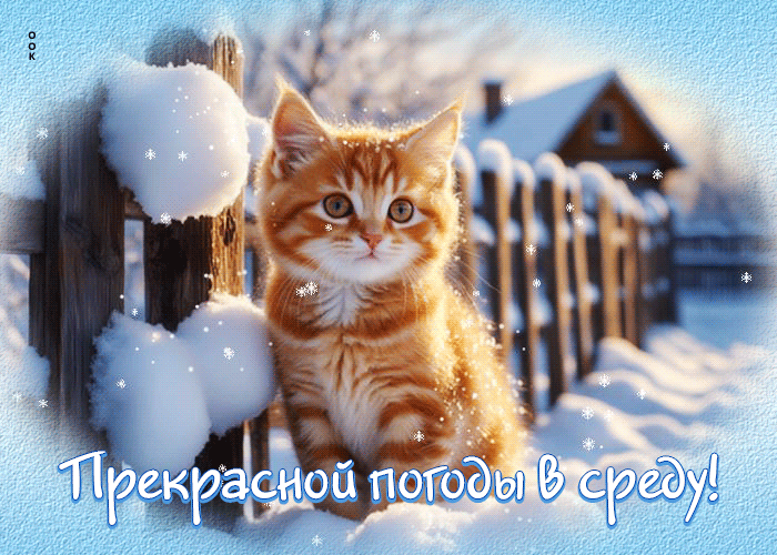 Postcard яркая открытка, радостной среды!